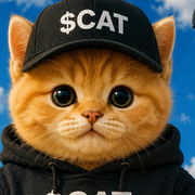 the cat